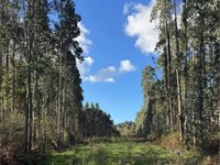 4 consejos para gestionar una herencia de fincas