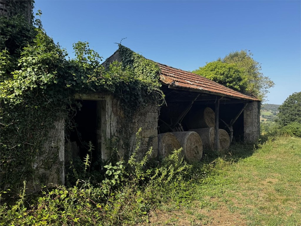Foto 5 FINCA URBANA EN A LARACHA 