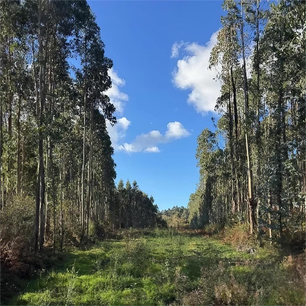 4 consellos para xestionar unha herdanza