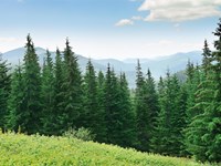 A importancia de ter as correas secundarias listas