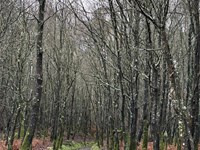 Estamos aquí: AVINPRO