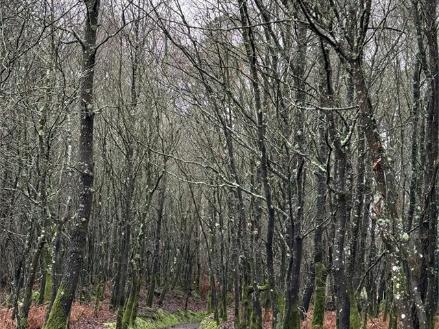 Estamos aquí: AVINPRO