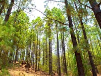 Mitos e verdades sobre o alugueiro de terras