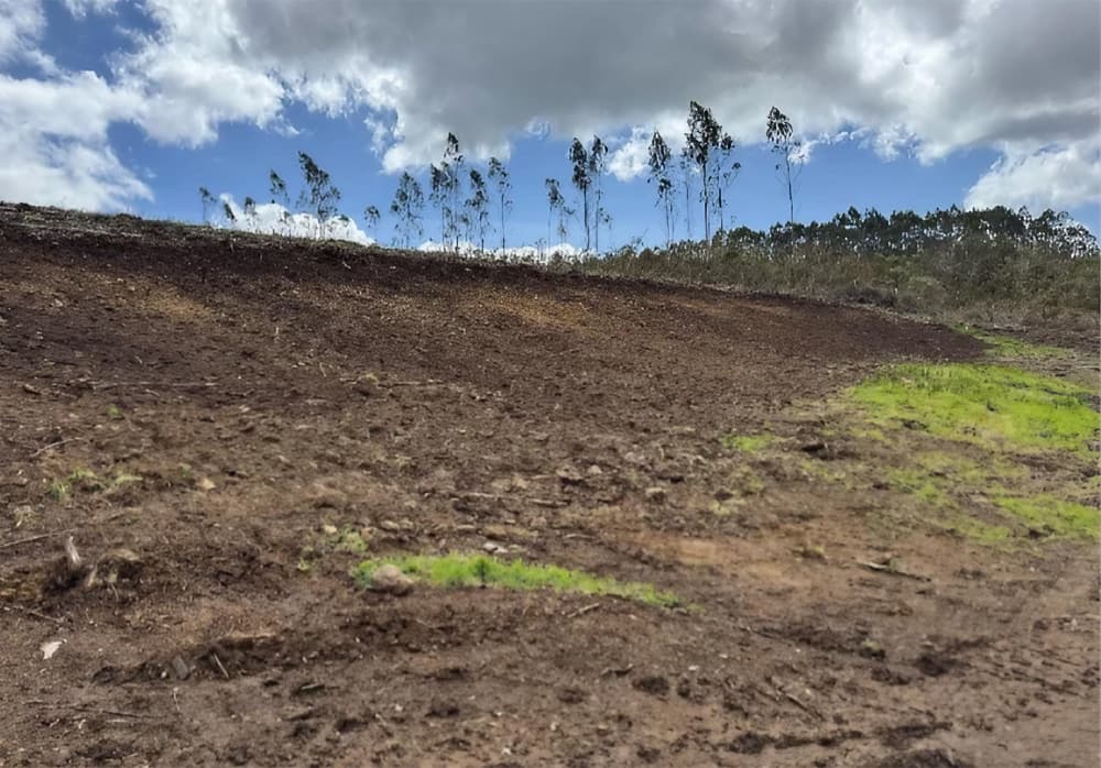 Maximizamos el valor de tu finca en Galicia