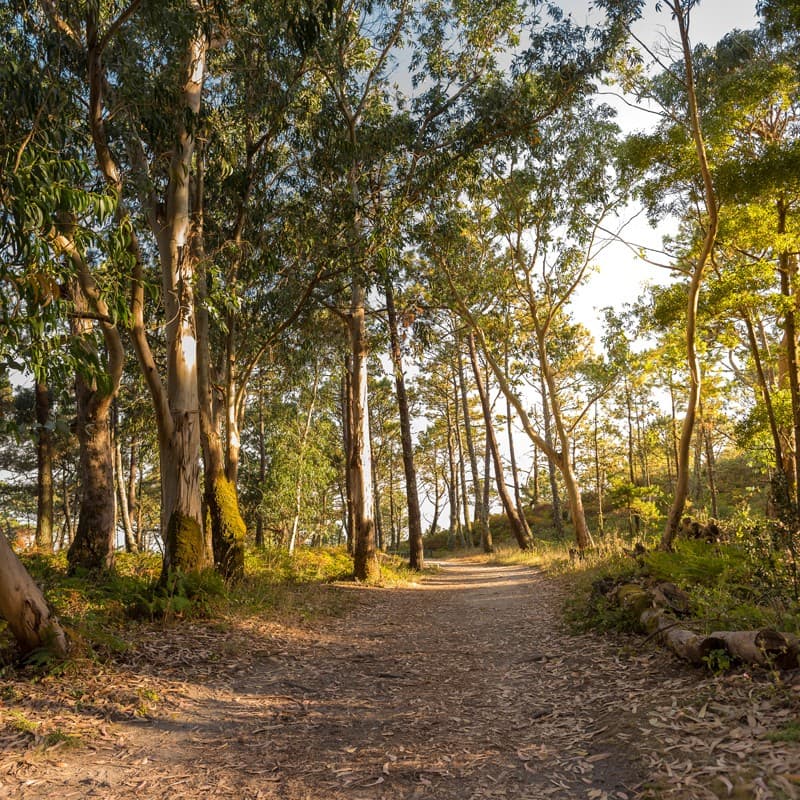 Gestión de fincas en Galicia y norte de España