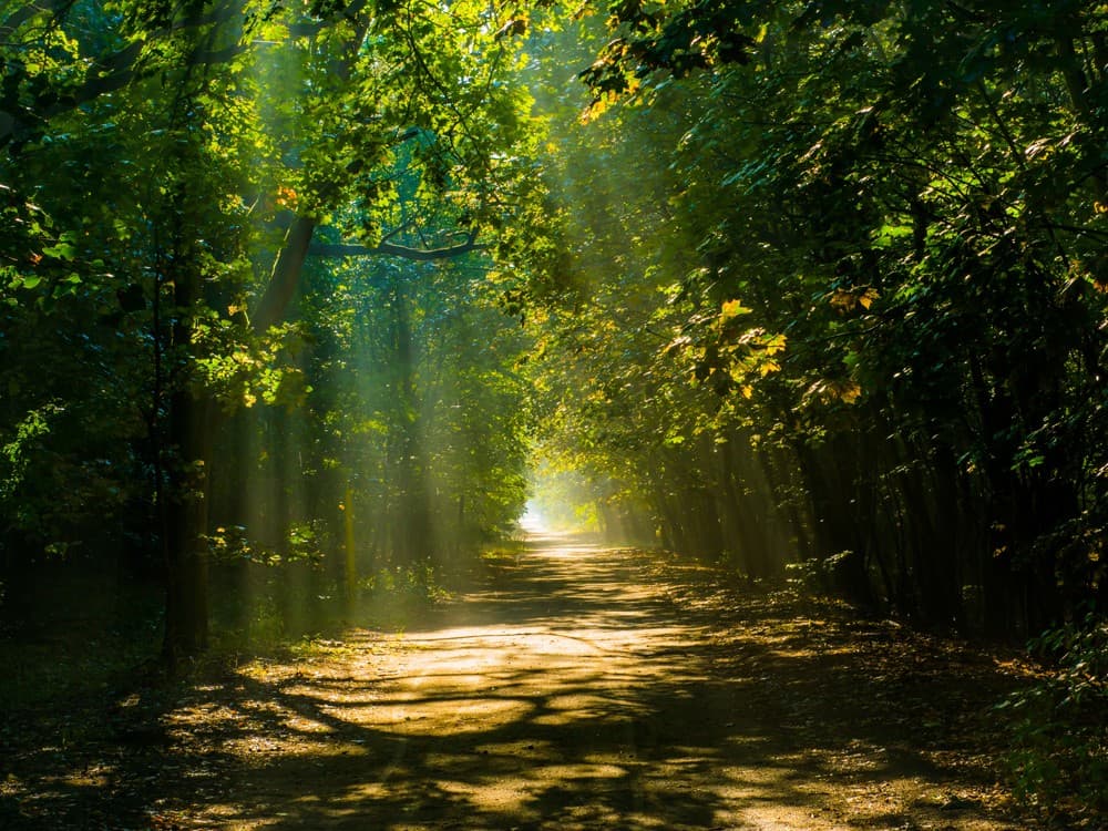 Compra, venta y alquiler de fincas en Galicia y en el norte de España