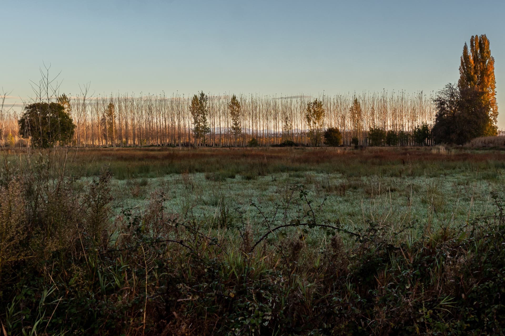 ¿Tienes una finca en el rural y no sabes qué hacer con ella?