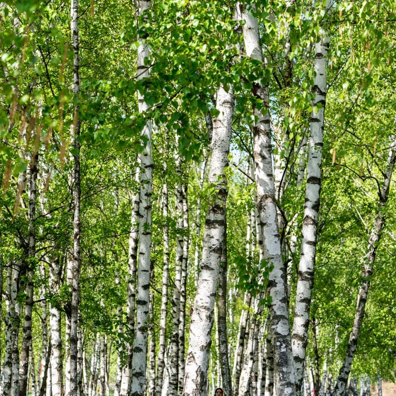 Contactar con Avinpro, especialistas en fincas