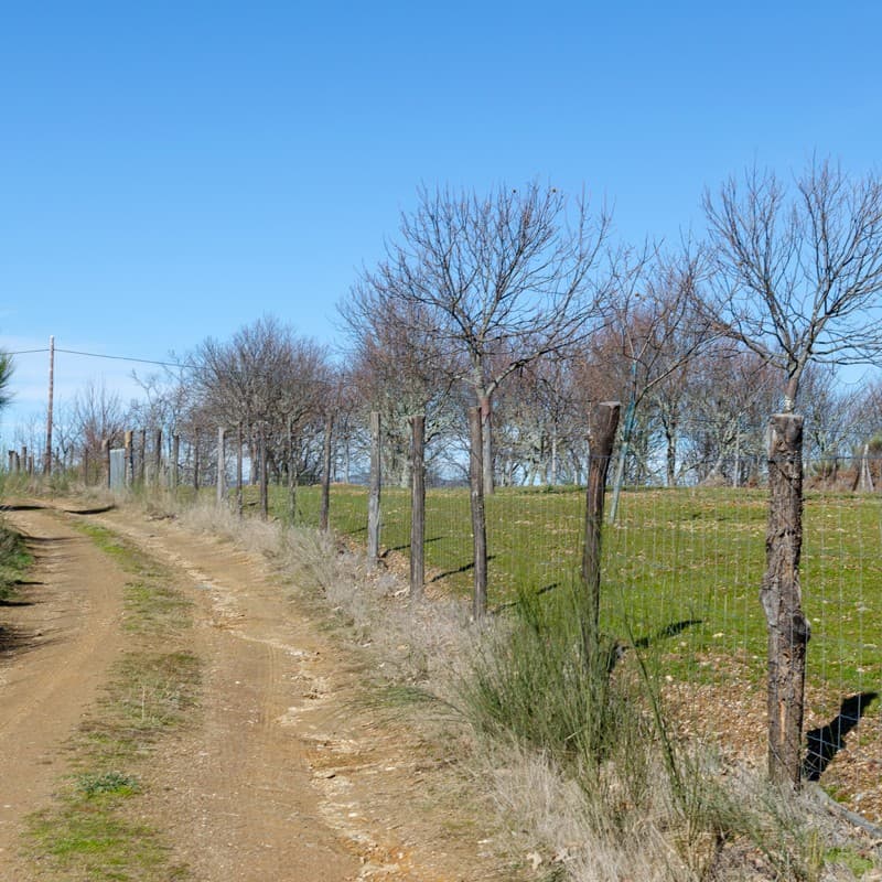Proyectos medioambientales