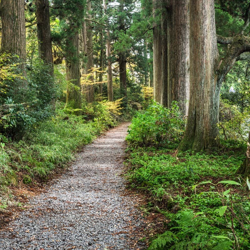 Conoce más sobre nuestra empresa Avinpro