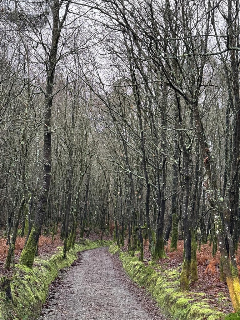 Ya estamos aqui: AVINPRO 